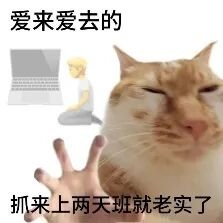 fish4529's tweet photo. @TvT_9123 https://t.co/C6Z4ndQf49