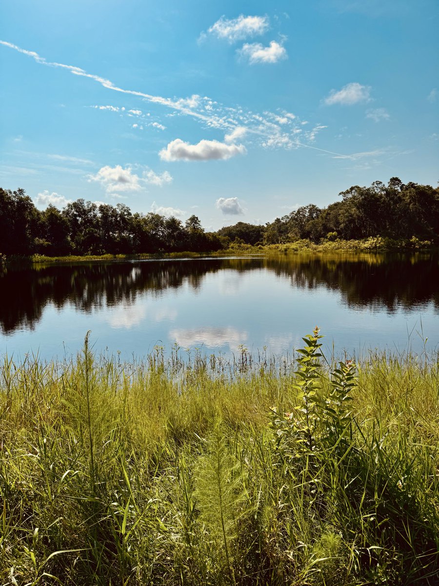 dolbyl's tweet photo. βBetween every two pines is a doorway to a new world.ββJohn Muir #optoutside #getoutside #lovefl #nature #naturephotography #floridatrails #hikefl https://t.co/E2w9tYVcA6