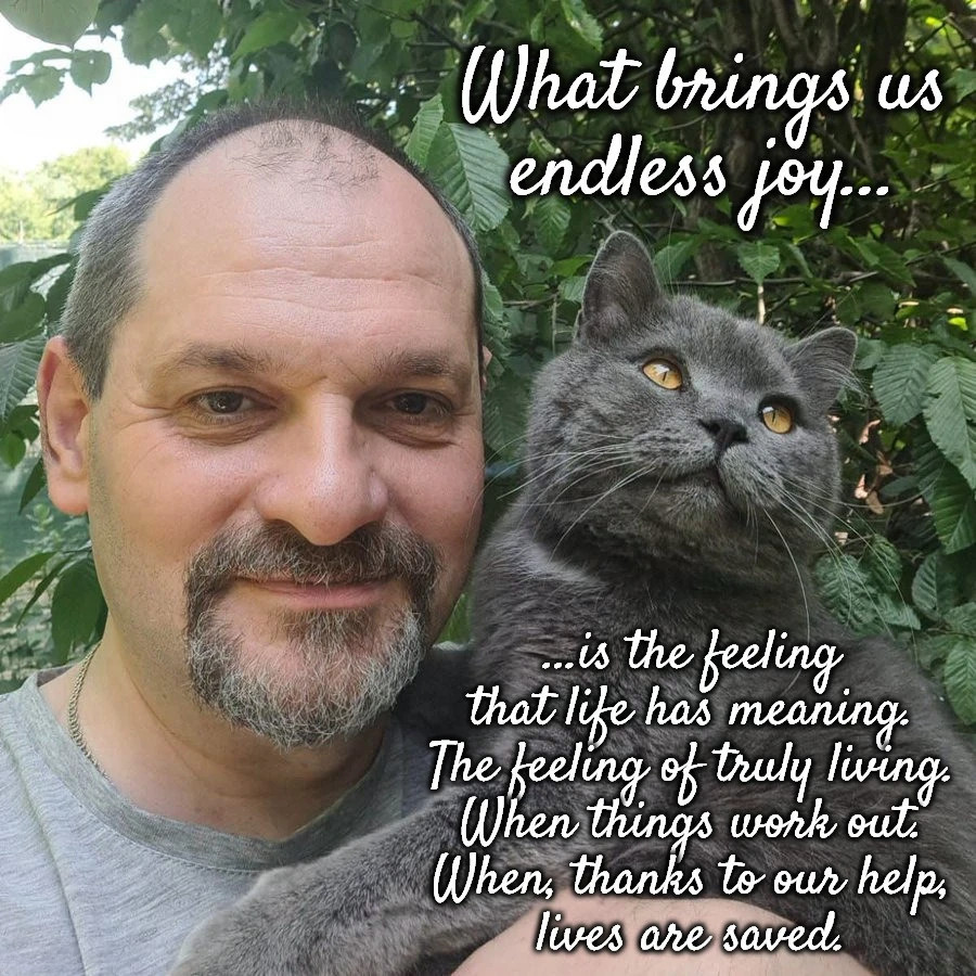 CordialCordite's tweet photo. Yuri and Brynchyk had a few reflective moments and arrived at the one and only finding — that saving lives is happiness ❤️

Right now, the safest way to achieve this is by helping the two with #drone protection for their beloved #snipers 🙌😻 https://t.co/dRUHIrFIJT