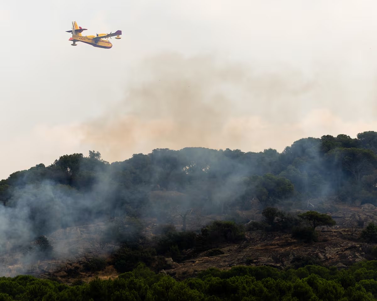 CasviFactory's tweet photo. ¡𝐏𝐀𝐑𝐀 𝐐𝐔𝐄 𝐒𝐄 𝐒𝐄𝐏𝐀!

Solo uno de los 14 hidroaviones apagafuegos con que opera el Ejército del Aire ha sido comprado por el PP

-Los bocazas y charlatanes del PP critican la falta de modernización de una flota adquirida en más del 90%, por los gobiernos socialistas https://t.co/gIjdIac4Sr