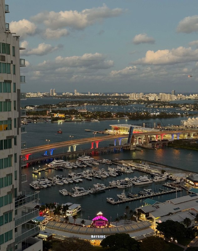 vitatrz's tweet photo. POV: your future office view 🌴

We’re hiring for our Miami office:
• Project Manager
• Creative Director
• Sales Manager
DM to join Up Network https://t.co/SfgHq4tPv8