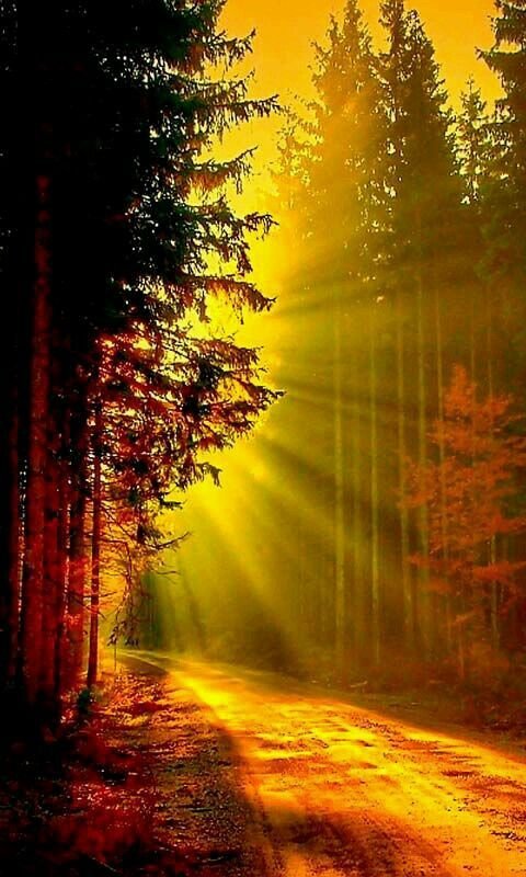 Nature Lover🌎 tweet media