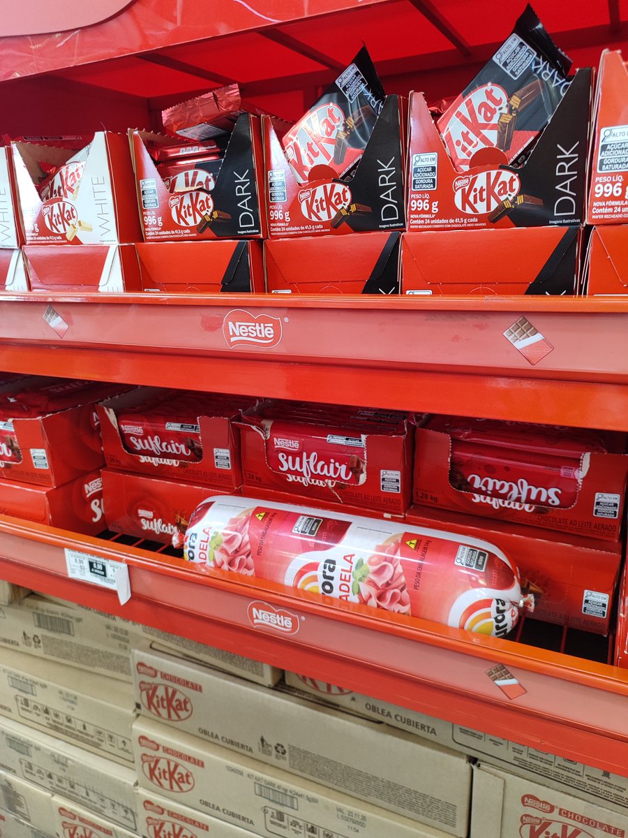 Vikiing_K's tweet photo. Alguém tem q explicar pra essa mortadela que não é assim que se joga Mecha chameleon https://t.co/90hC4L2W2w
