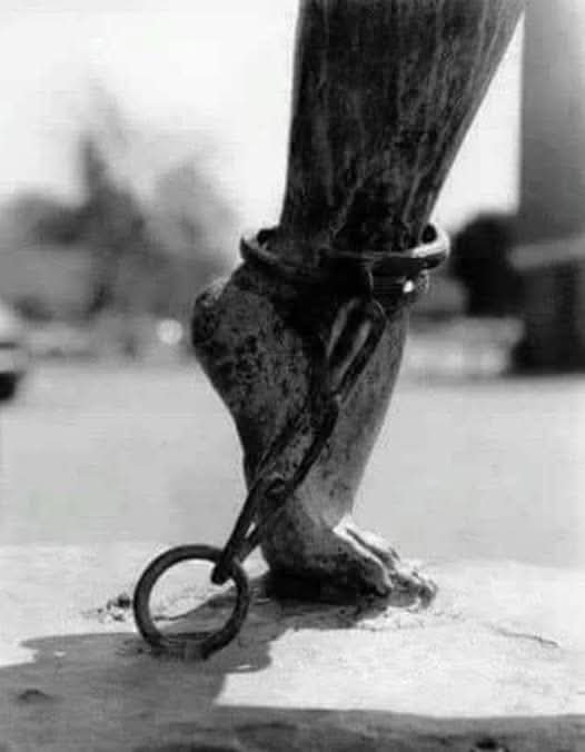 bakhtawarkhan_0's tweet photo. میں وہ وحشی ہوں کہ زِندان میں نگہبانوں کو

میری زنجیر کی جھنکار نے  سونے نہ دیا!

#قافلہ_ادب https://t.co/mO0WBsNeNS