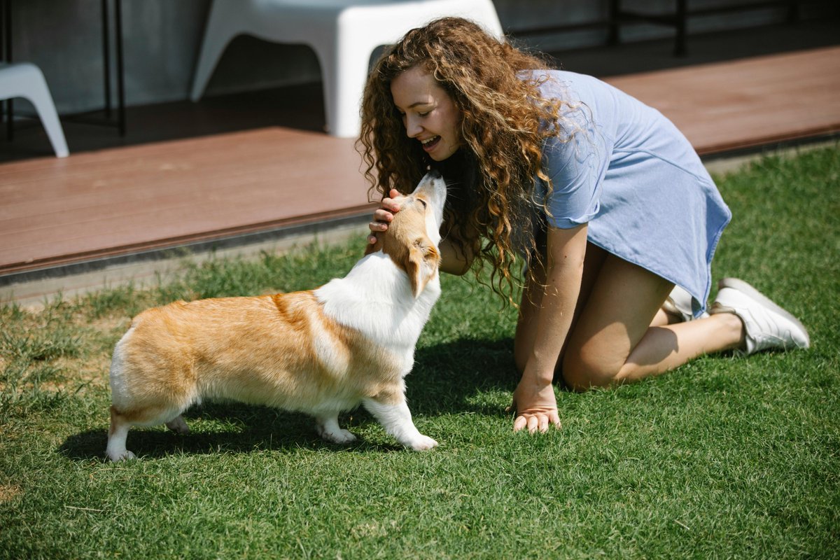 arielsonsilva9's tweet photo. 桜の季節にぴったりな犬🌸🐶 https://t.co/vNEZNODCVp