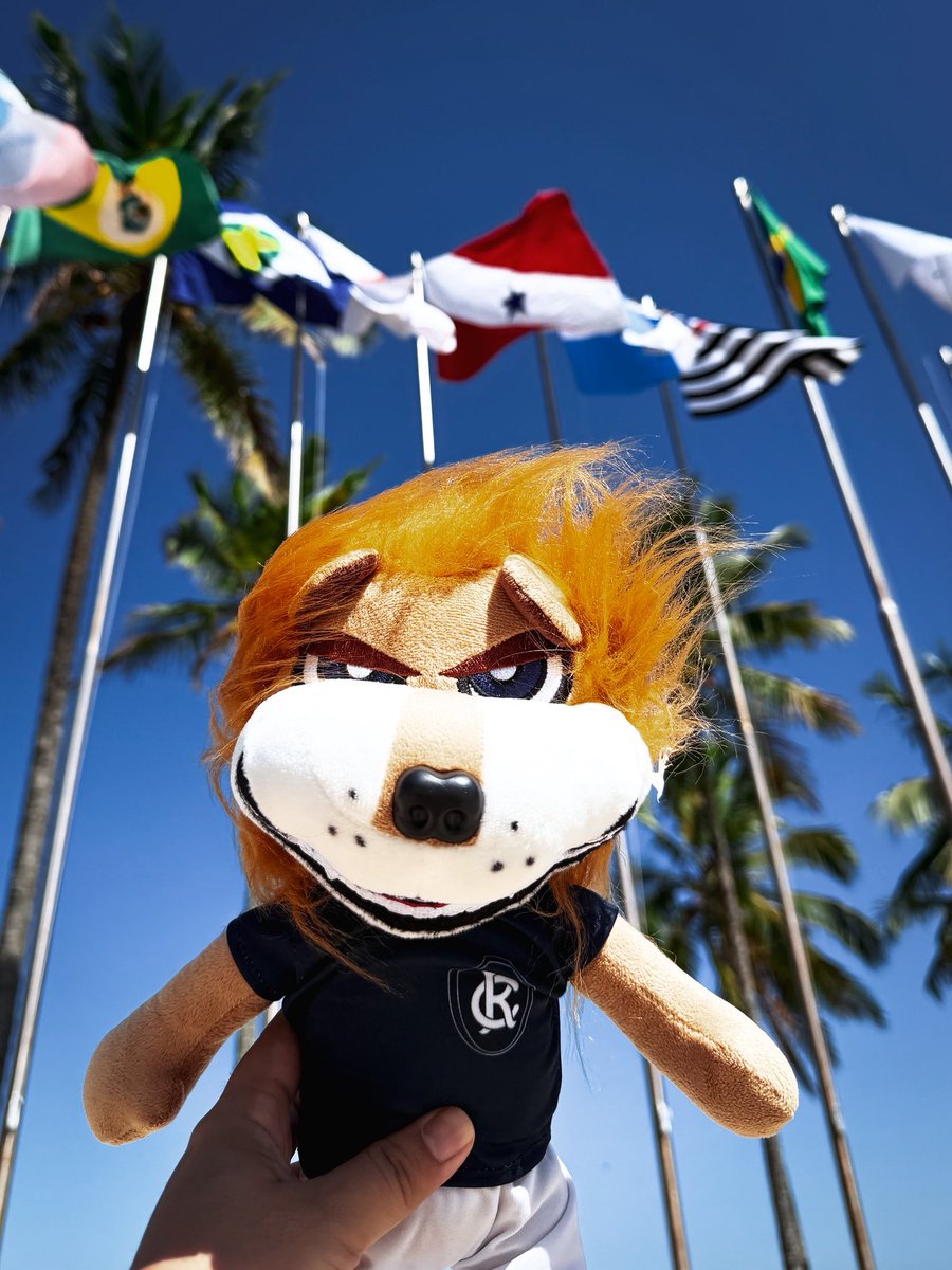 ClubeDoRemo's tweet photo. Tem um visitante especial pelas ruas de Santos. 👀🦁

📸 Raul Martins | Remo

#OReiDaAmazônia https://t.co/QT3GcGcUrE