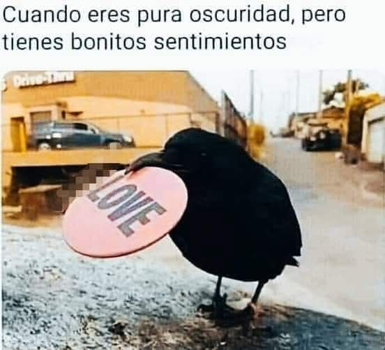 Leo_cronos_'s tweet photo. @ann__kittyy Tenes apariencia gótica,  difícil, inalcanzable, pero tenes tu lado de tierna seguramente❤️ https://t.co/fjLSkwxDYh