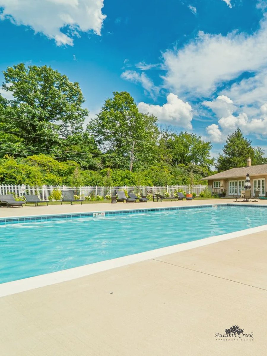 AutumnHomes's tweet photo. Gather your friends for a pool party to remember! 🎉 Will we see you at our next event? https://t.co/SQsHP5pKT3