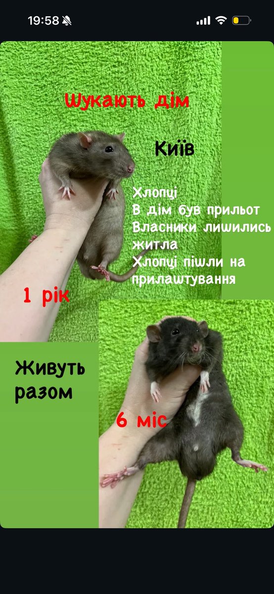 Dita tweet media