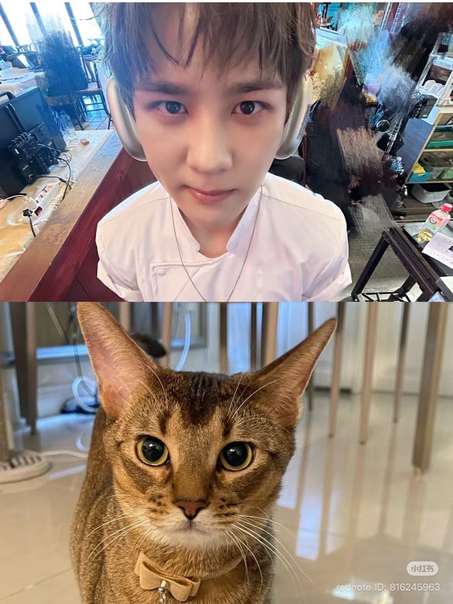 woshiggumi's tweet photo. 아 진짜 서로 아들 닮은거 왤케 웃김 ㅋㅋㅋㅋㅋㅋㅋㅋㅋㅋㅋㅋㅋㅋㅋㅋㅋㅋㅋㅋㅋㅋ https://t.co/rQnkuLpowa