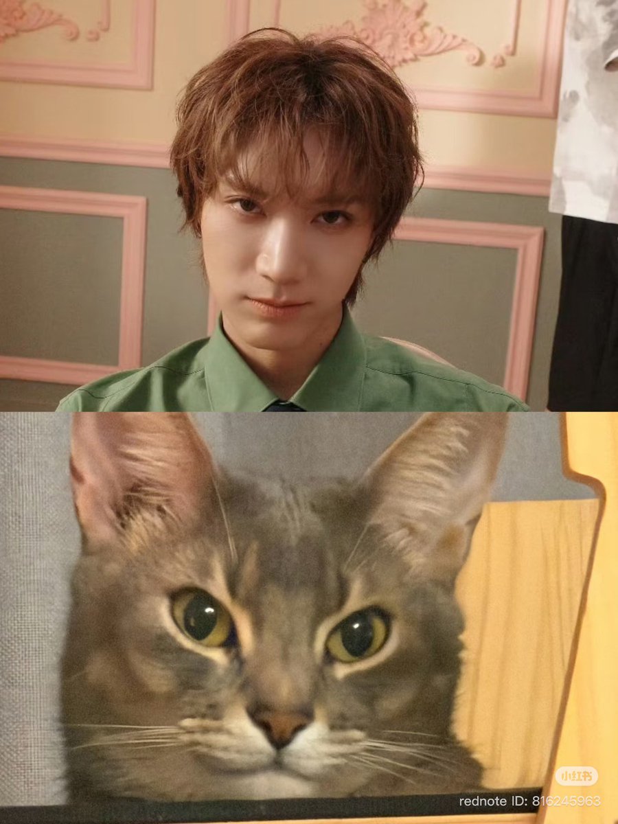 woshiggumi's tweet photo. 아 진짜 서로 아들 닮은거 왤케 웃김 ㅋㅋㅋㅋㅋㅋㅋㅋㅋㅋㅋㅋㅋㅋㅋㅋㅋㅋㅋㅋㅋㅋ https://t.co/rQnkuLpowa