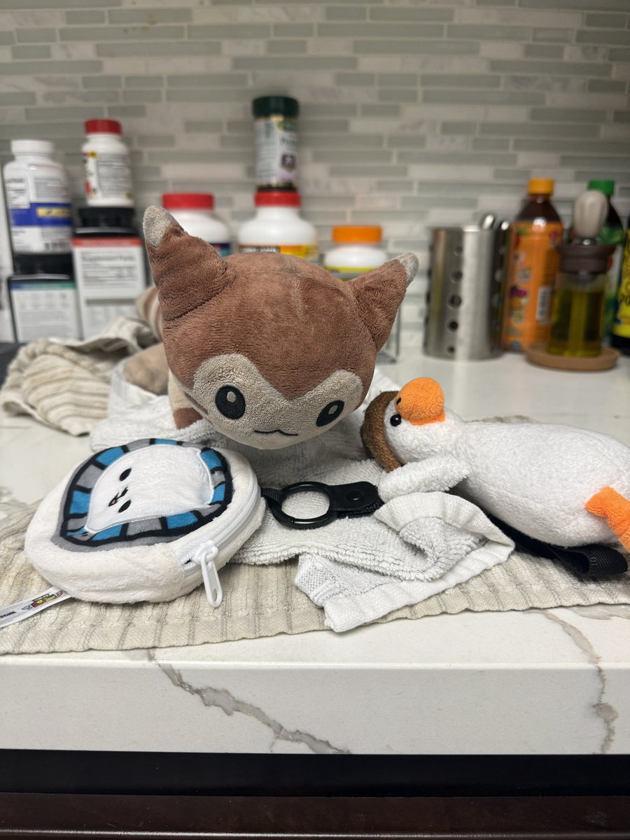 MaxxIsFurret's tweet photo. don’t worry guys, furret didn’t forget about furret friday! he was just busy getting cleaned with his friendos and is all refreshed now 🤎🤍 https://t.co/gc1cDOPYPB