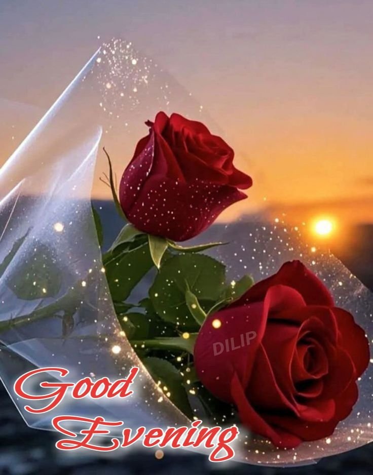halmat_kurdish's tweet photo. @toqa_jamall https://t.co/GiXTheBKng
