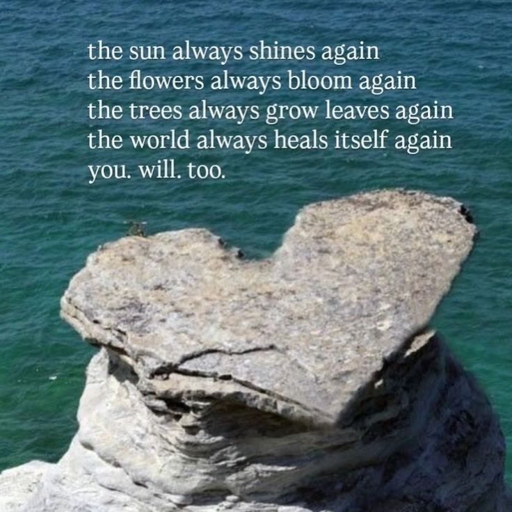 dailyhopecores's tweet photo. https://t.co/Q2AC5F0Te0