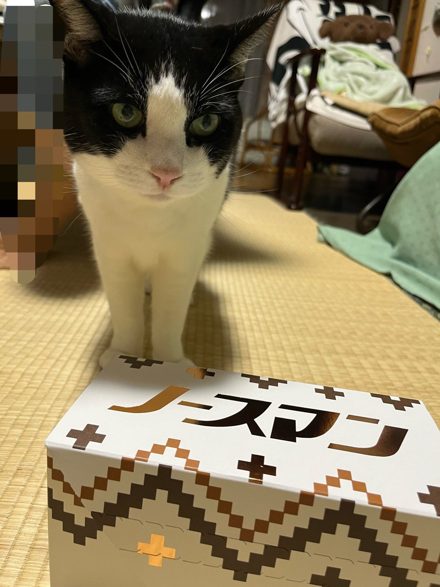mutsukya_n's tweet photo. スノーマン…じゃない
ノースマン買ってきたんだ♪ https://t.co/rHsyqOCjci