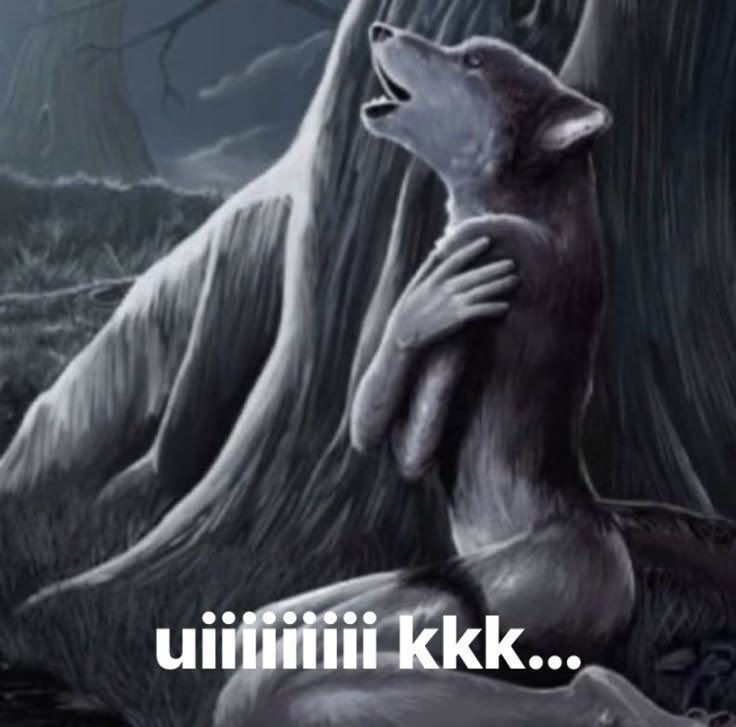 _namorais_'s tweet photo. @batsgiwrl qual lobo é esse? https://t.co/YTSglh1LX0
