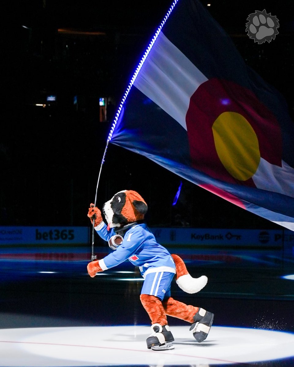 AvsBernie's tweet photo. Home of the best fans in the league 🏔️

Happy Colorado Day! https://t.co/8KCgoiFUyr