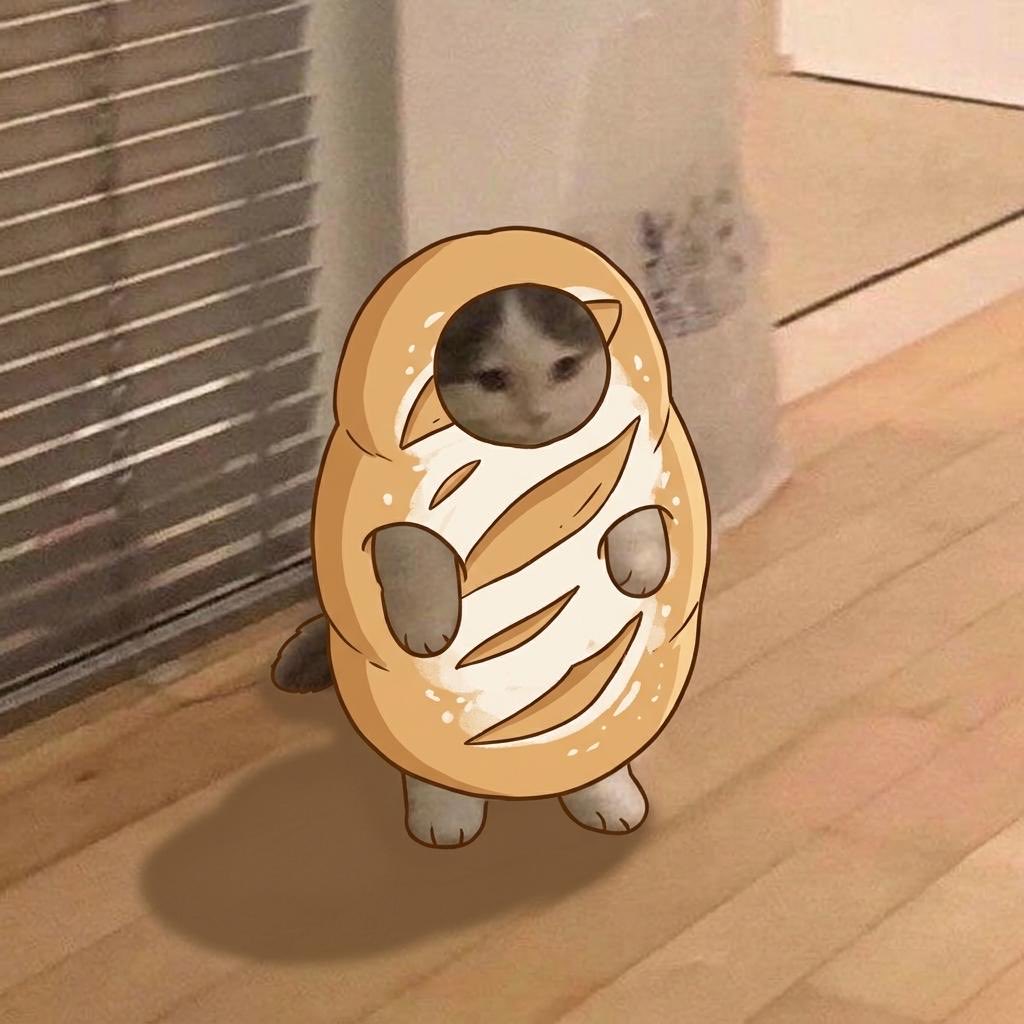 michionsolana's tweet photo. fresh baked. https://t.co/iRoF1NI3xJ