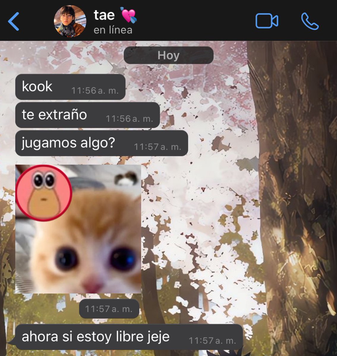 tkooroll's tweet photo. 350. ahora si estoy libre https://t.co/Xb8Cl5j0df