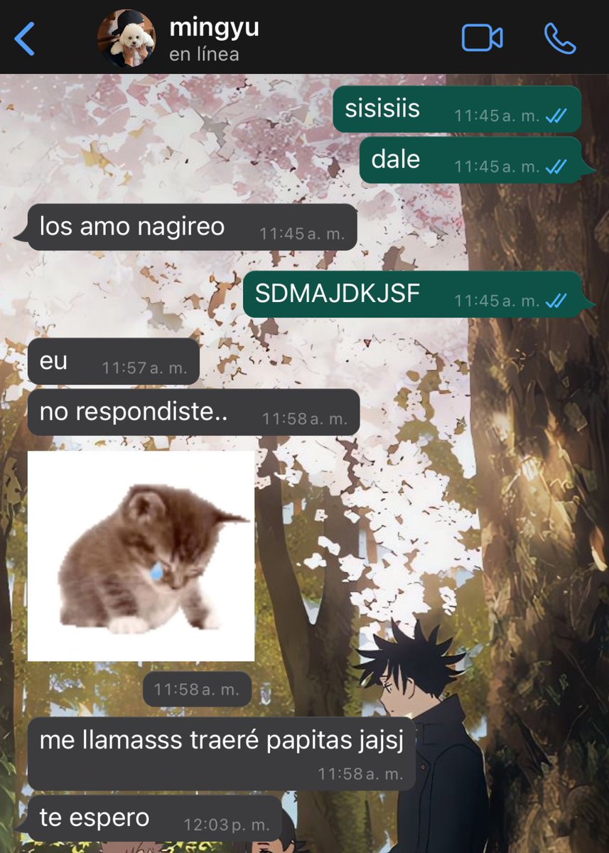 tkooroll's tweet photo. 350. ahora si estoy libre https://t.co/Xb8Cl5j0df
