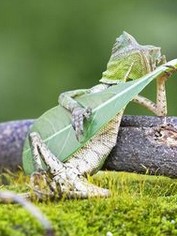 ChandraSyah1's tweet photo. my headphones keep getting tangled in my pocket like it's their job a lighthouse on a quiet afternoon is everything.
— sỹ https://t.co/MAA99ysChM