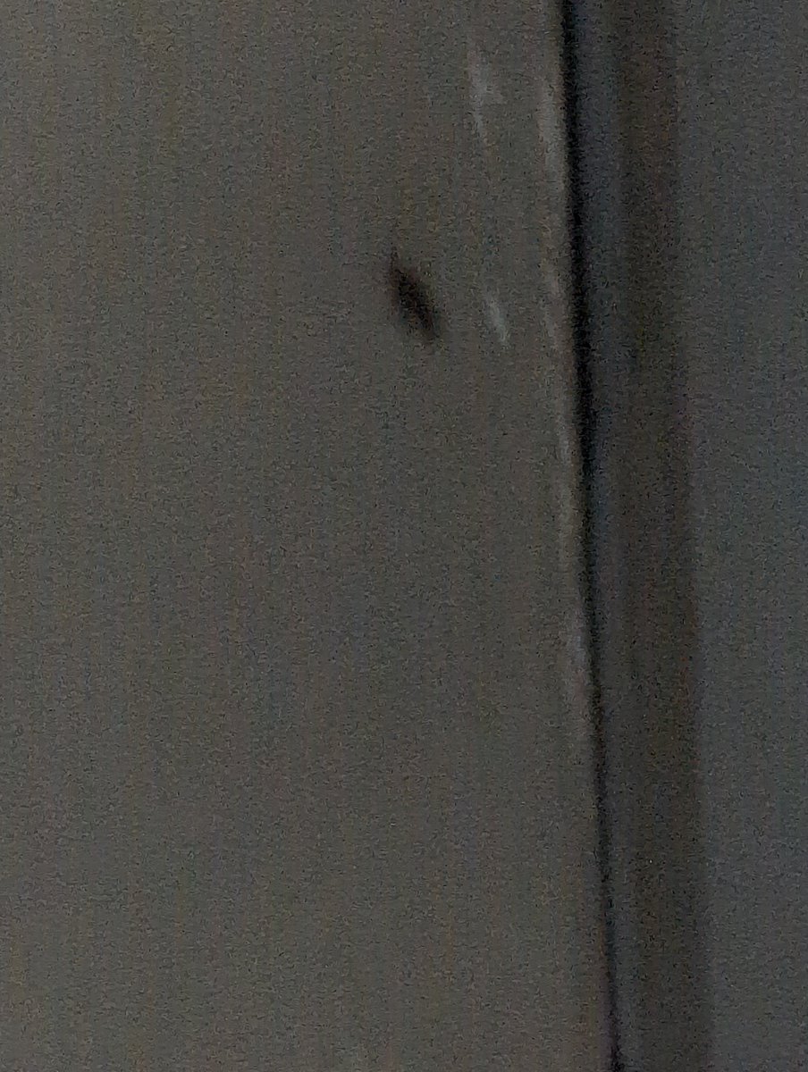 Travel_For_Soul's tweet photo. @RailwaySeva Traveling on Train 20814, Coach B3 turning to be a nightmare with fleet of cockroaches all around. Please intervene for public health. https://t.co/UYgGYJNKFp