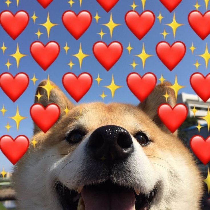 Sergeant_Fluffer tweet media