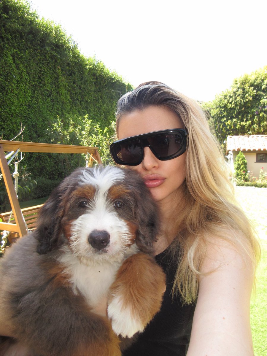 monicalsims's tweet photo. Dog days of summer 🐾 https://t.co/2XKS3tb9SR