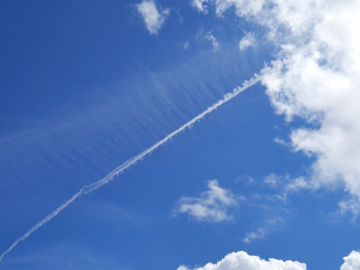 AlexV595315's tweet photo. Chemtrails Belgique.  Le moujon, humain mi mouton, mi pigeon. Trop occupé à brouter du facebook et du netflix pour lever les yeux vers le ciel et comprendre qu il vie sous un climat manipulé artificiellement.  Il se croie responsable réchauffement climatique. https://t.co/ly1hjqgyI9