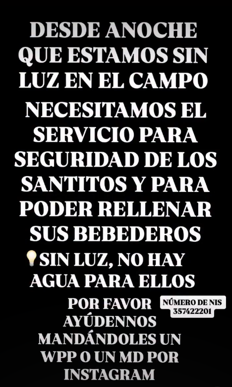 BellesMorte's tweet photo. Los caballitos del refugio Soñemos Esperanza estan sin luz 
@EDELAP__Oficial restauren el servicio o van a terminar siendo responsables por lo que les pase a esos animales https://t.co/y3h45l3jc6