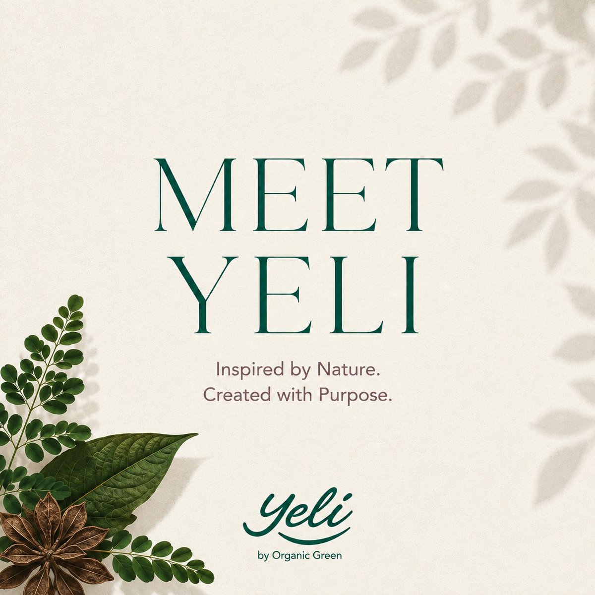 Yelielixir's tweet photo. #MeetYeli #Yeli #ExperienceYeli #YeliByOrganicGreen #InspiredByNature #NaturalWellness #WellnessEveryDay #LiveBetter #BetterLiving #PremiumWellness #MadeInGhana #GhanaBrands #OrganicGreen https://t.co/1CrNTU7UYR