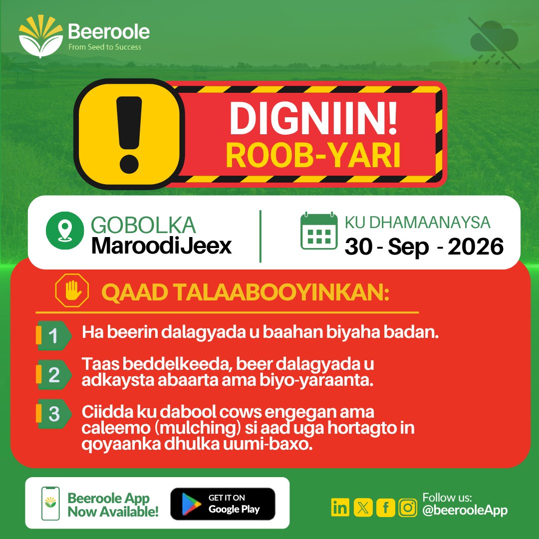 beerooleApp's tweet photo. Stay one step ahead with Beeroole. 🌦️

Get timely weather warnings to help protect your crops, plan your farming activities, and make smarter decisions before conditions change.

Download Beeroole today and farm with confidence. ⤵️
https://t.co/hjcOMY9jYM https://t.co/otmQrE6q5m