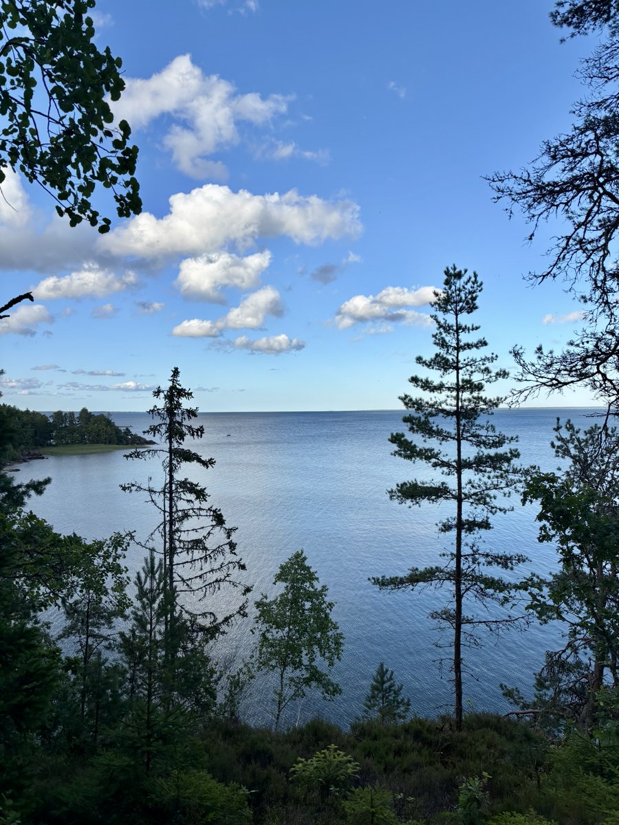 Glennsarn's tweet photo. Kvällspromenad vid Vänern…
❤️✅🙏👍🏻 https://t.co/pBbyyx1yyJ