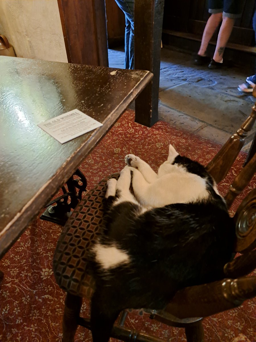 a_j_williams's tweet photo. At @oldwindmill with @janemwilliams , fortunately Murphy let is join his table. https://t.co/CHB6hiYyQj