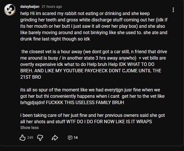 flowerfoid's tweet photo. If she's been checked out then Daisy should be more than happy to post the vet bills to prove such, but we all know she wont because she is a liar who doesnt care for her animal https://t.co/IkIUVxakyC