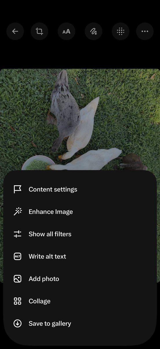 BestofSunday's tweet photo. @ghost_finches It does! Just super inconvenient to find. You select your picture and then it’s hidden behind the three dots in the corner and then “content settings.” Also thank you for this impeccable Mitsurobi 🙏 https://t.co/QRC5jvmxmY