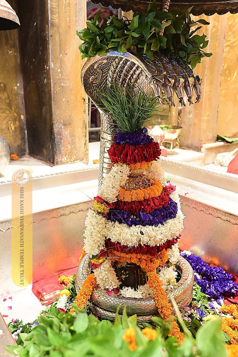 ShriVishwanath's tweet photo. श्री काशी विश्वनाथ जी की श्रृंगार आरती I
#kashivishwanath #kashi #hindu #sanatandharmaहमारे https://t.co/USl3lXLgnH