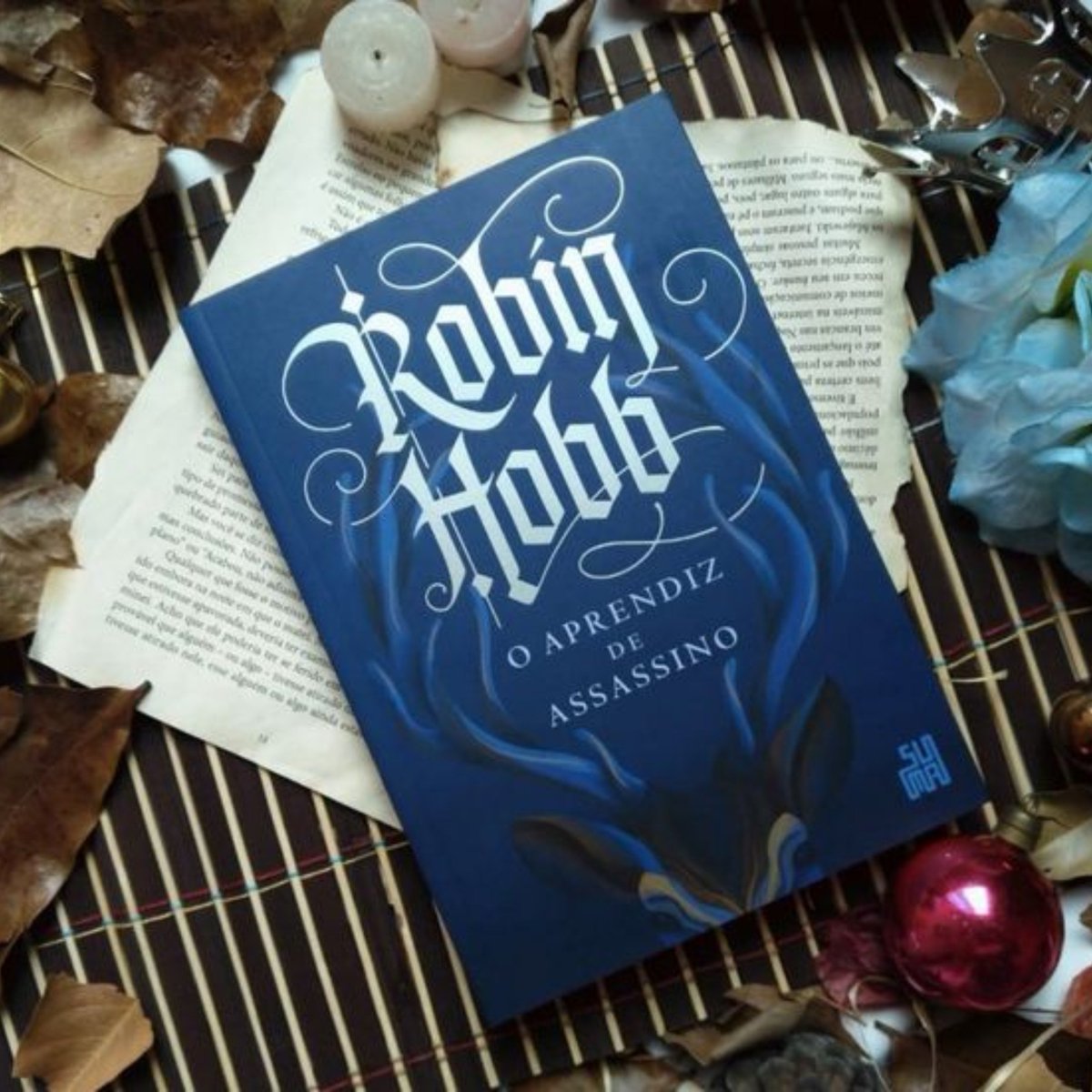 librarielovs's tweet photo. Eu / minha leitura atual ✨️ https://t.co/ZCJtqM7HSn