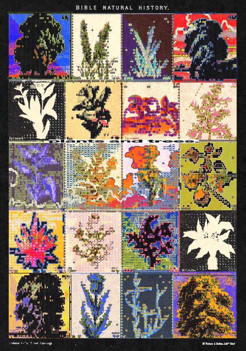 enigmatriz's tweet photo. plants and trees. https://t.co/YZfx8UeU7l