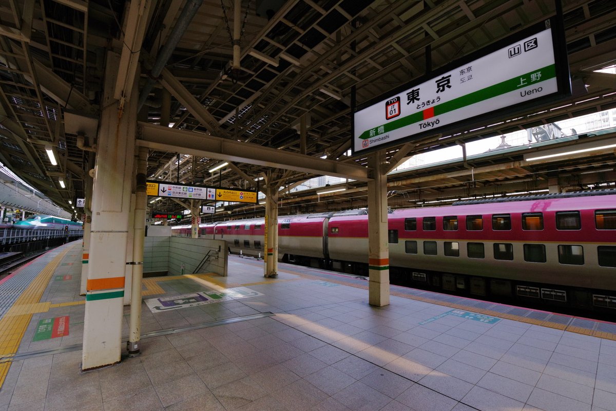 Tama_StXII's tweet photo. 本日の朝練は東京駅にてサンライズ瀬戸・出雲号を…^ ^
重い腰を上げてようやく東京駅に来れました！笑
Pentax K-3III + HD D FA 150-450mmほか https://t.co/hhHglOYLIK