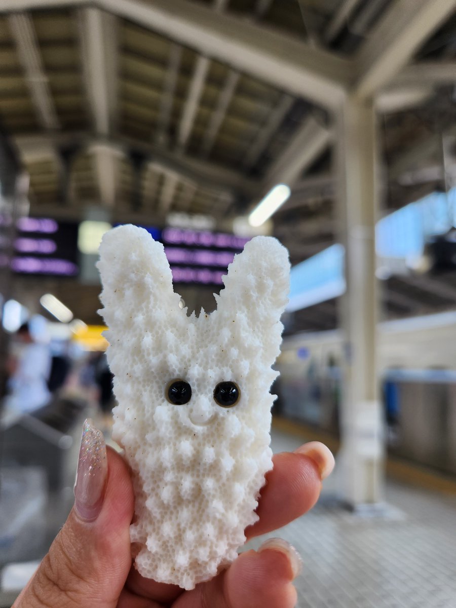 minanda_su's tweet photo. 【#死の笛 観てくるよ✨】

生きてます。笑
かわゆい相方引き連れて、弾丸で大阪へ行ってきます💪

ちなみに６月は阿多ちゃんに誘ってもらい、初の"洋ちゃん"生鑑賞！
DISCOまで行けて最高の１日でした💕って事後報告！！

そんで１１月を楽しみに待ってておくれ🙏
今年は今日からビシバシやりまっせ✨ https://t.co/Qf895sA3V8