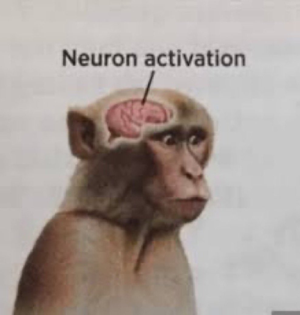 3eninho_'s tweet photo. J’ai rien écouté j’étais focalisé sur son ventre https://t.co/skEWepfPh5