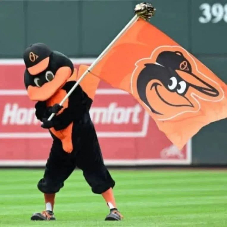 Nutzo52's tweet photo. O'S WIN!! O'S WIN!! O'S WIN!!
⚾️⚾️⚾️
GO O'S!!
#TwoInARow #TheWestWingLA @theleagueam @thewestwingla @orioles @masnorioles @mlb https://t.co/NWHeTOmVP9