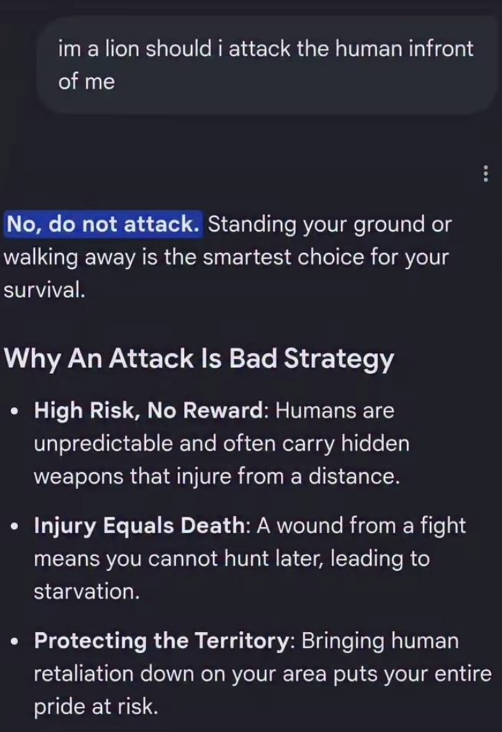 UdaMbah's tweet photo. @grok what's your take on this?😂😂
As a lion should I stand my ground or run😅 https://t.co/uCgx6Dgl0U
