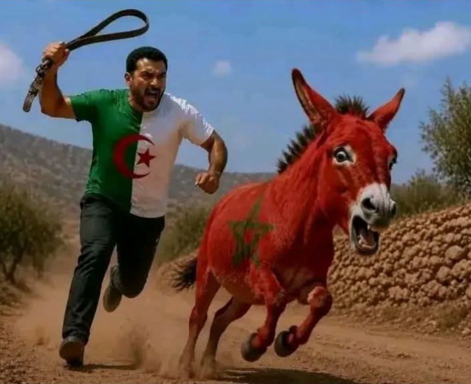 vanille50360076's tweet photo. @rab_mbarki @algatedz واش من تربية المروكي المذلول يكذب الكذب و يصدقها هذي كذبة من ملوككم و انتموالحمير صدقتوهاربوا انفوسكم الاول يا تربية الصعاليك شوف ملوك المراركة وين ترباو و شكون رباهم ترباو في حجور عشيقهم الفرنسي و اليوم اسبانيا تنظف الاماكن اللي مر عليها المراركة تشوف فيكم نجاسة في نجاسة 🤣🤣 https://t.co/3u9hLCX6rS