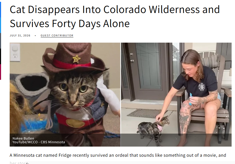 lillykuan's tweet photo. This cat named "Fridge" SURVIVED in the wilderness for 40 DAYS by himself
He's hella iconic and memeable just look at him and his name is LITERALLY Fridge and he's never ran
https://t.co/DBnfCFUefU