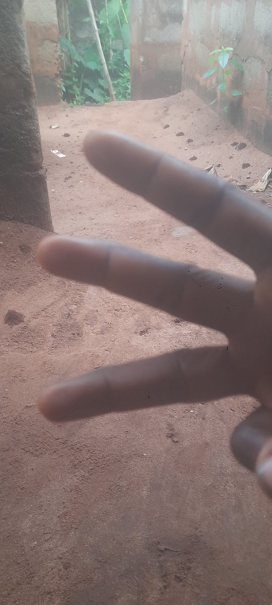 Jacintamma's tweet photo. Launching watcher node in the site
#watcherseverywhere https://t.co/W3XUcYz4qb