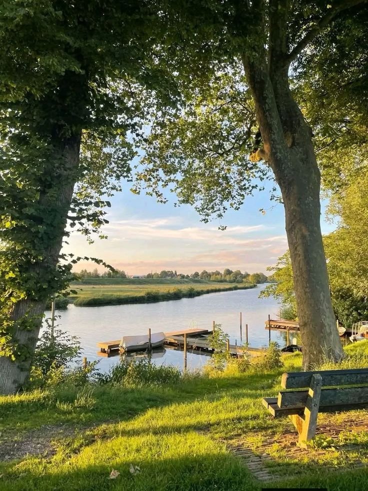 elyradream's tweet photo. countryside life https://t.co/23uFUpD1qE