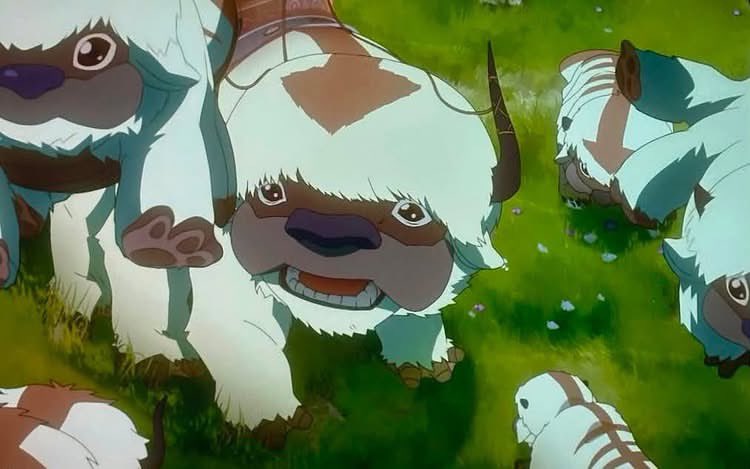 Animeupdatex's tweet photo. Aang might still have been the only Airbender.. but seeing Appa reunite with other flying vision healed the deepest depths of my soul https://t.co/SRGOpKqxdJ