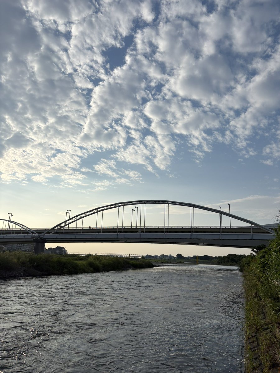 FlyOikawaLure's tweet photo. 今朝は娘を仕事に送って行くので遠出は不可。けど南多摩は平日行けるから別の場所が良いなぁ。バイクにも乗りたいなぁという事で内共3号の最東端多摩川原橋へ。なんとなく深いと言う思い込みで行ったら浅かった。準備不足が祟ってボウズ。サンダル持って行けばよかった（笑） https://t.co/agAR0tfqW8